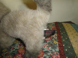 Gund 1991 SIAMESE CAT Collectors Classic Ltd Edition 18 inch