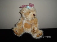 BeanFramed Petaluma CA USA Soft Teddy Bear Handcrafted