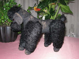 Antique German Black Mohair Poodle Dog 11 Inch Standing 1920s RARE