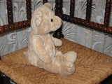 Netherlands Teddy Bear Family Shop Gouda Creme Sitting 24 CM
