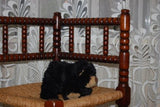 Dutch Holland Small Kika Black Bear 7.5 inch Childrens Charity
