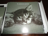 20 Cat and Kitten Black and White Photography Greeting Cards Set