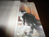 Advocate Art Black & White Cat Coaster Notepad Mouse Pad Sheets Set