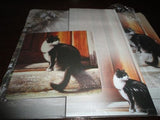 Advocate Art Black & White Cat Coaster Notepad Mouse Pad Sheets Set