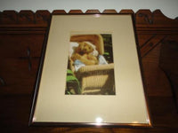 Antique Large Steiff Teddy Bear Baby in Wicker Carriage Glass Framed Picture