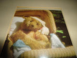 Antique Large Steiff Teddy Bear Baby in Wicker Carriage Glass Framed Picture