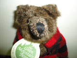 Mary Meyer Green Mountain Bear Vermont Artist Carol Carini MANSFIELD Grizzly New