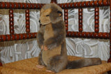 K&M Int USA Brown Gray Meerkat 11 Inch Stuffed Animal Plush 1994