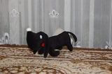Jip & Janneke Takkie Black Dachshund Dog Plush RARE Famous Childrens Book Toy