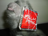 Russ Palm Pets PUFFS Born 1997 Grey White Kitten Cat 5 inch