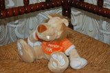 Prenatal Holland Dutch Lion Plush 2006 My First WK Baby Safe ADORABLE