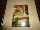 Antique Large Steiff Teddy Bear Baby in Wicker Carriage Glass Framed Picture