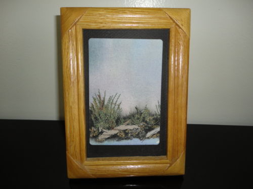 Original Artwork Stitched Art Flannel Fabric Signed by the Artist Gail P. Framed