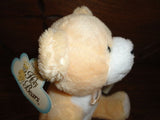 Holy Bears 2003 GOD BLESS OUR CATS Bear 9" with Bible Booklet