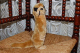 Semo Germany Beige Meerkat Plush 9 Inch w Tag