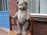 Antique 1930s Diem Germany Humpback Gray Mohair Bear w Growler JUMBO 2 ft 61 CM