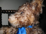 Steiff Petsy Bear Growler Mohair 1928 Mint In Box 407383 Steiff Shipping Box