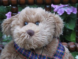 Metro UK George Bear Limited Edition Teddy Love
