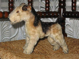 Antique Steiff Terry Airedale Terrier 1322,0 Mohair Working Squeaker 1950 1957