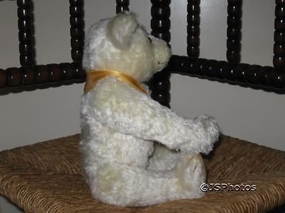 Steiff Tier Teddy Bear Club 2000 ours. Excellent état Steiff Tier Teddy Bear Club 2000 ours. Excellent état