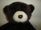 Applause AVANTI Rome ITALY Classic BEAR Vintage 1984