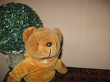 Vintage Dino Toys Holland Teddy Bear with Hoody