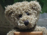 Brown Sitting Teddy Bear Plush Holding Wooden Picture Frame 7 inch Tall