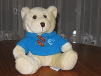 Domoti Perfectel Esbe Belgium Tempsl Teddy Bear