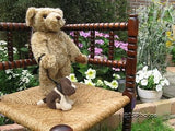 Merrythought Bruno Official RSPCA Bear and Russ Puddles