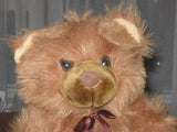Struis Holland Brown My Teddy Bear