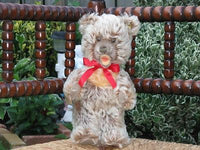 Steiff Standing Zotty Bear 26 CM / 10 Inch