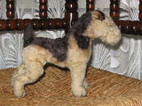 Antique Steiff Terry Airedale Terrier 1322,0 Mohair Working Squeaker 1950 1957