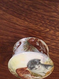 Royal Staffordshire UK Kittens Puppies Dish with Lid Bone China Art Pottery