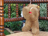 Steiff Floppy Teddy 20 CM 1978-1982 5700/20