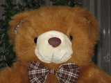Promotional Co. SWITZERLAND Cute Brown Teddy Bear 12 inch