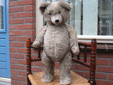 Antique 1930s Diem Germany Humpback Gray Mohair Bear w Growler JUMBO 2 ft 61 CM