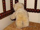 Steiff Original Molly Teddy Bear 019555 With Tags 1991