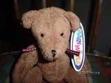 Mary Meyer 2001 Bear My Name is Theo 43971 Retired