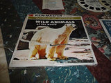 VTG 1958 View Master World of Science WILD ANIMALS of the WORLD 3 Reels Case