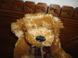 Avon Canada Hat Box Teddies CHESTER Bear 13 Inch