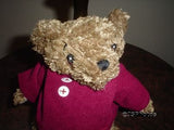 Little Teddy Left Behind Bear 2004 Rare