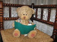 Lucky Toys Holland Dutch Christmas Bear With Book