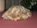 Steiff Floppy Zotty Mohair Bear 7317,00 1959 - 1964