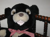 Black Teddy Bear 14 inch Sitting Tottenham London Uk