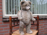 Antique 1930s Diem Germany Humpback Gray Mohair Bear w Growler JUMBO 2 ft 61 CM