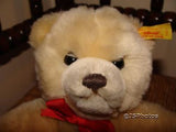 Steiff Original Molly Teddy Bear 019555 With Tags 1991