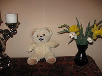 Robijn Holland Teddy Bear For Dutch Olympics