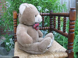 Parsons International Teddy Bear Rotterdam Holland