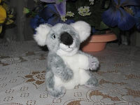 L. Dake & Son Amsterdam Holland Koala Bear w Tag