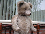 Antique 1930s Diem Germany Humpback Gray Mohair Bear w Growler JUMBO 2 ft 61 CM